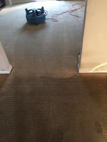 Silver Olas Carpet Tile Flood Cleaning image 29